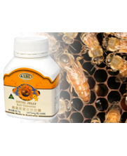 �İ���(����)��ʝ{�ͺ�ܛ�z��