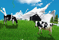 �W�ܶ������L(zh��ng)ɳ�Ћ�ͯչ�@���u(p��ng)