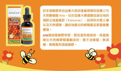 �ñ��I(l��ng)���z�΄�������