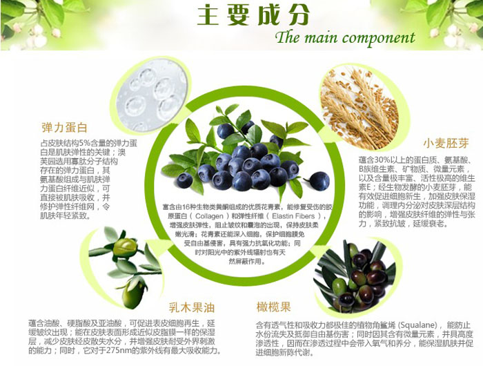 �{(l��n)ݮ���w�o����˪ 50g