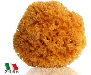 ��ɭ�Ơ���ע����Ȼ���d�a(ch��n)Ʒ���^һ�����o