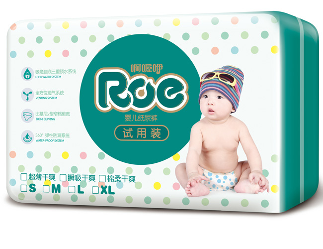 ROE������ˬ����ѝ�w��b