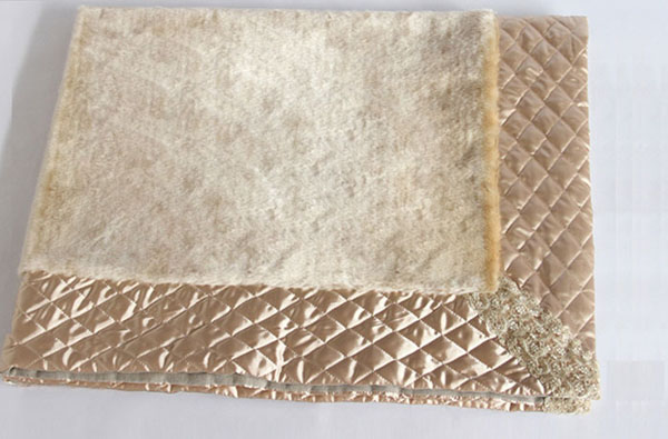 ����ĸ���ݗ��q̺չʾ�D