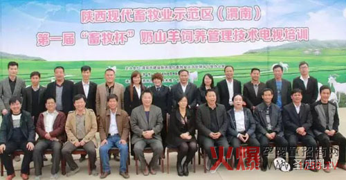 �׌á�����������ɽ����B(y��ng)�������g(sh��)�ҕ��Ӗ(x��n)���(hu��)�A�M��Ļ