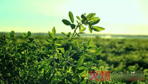 �xɽţ�̟���ӛ�������������� �����֎ײ���