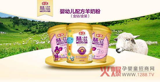 ������ʲô���ۺȺ��ϻ������̷���