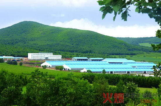 �l(f��)չ���w��(j��ng)�������_ɽ���Є���