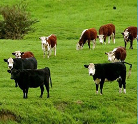 �����m������Դ