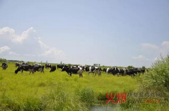 ���_ɽ�̷۞�Ε��ܵ��@ô���˵�ϲ����