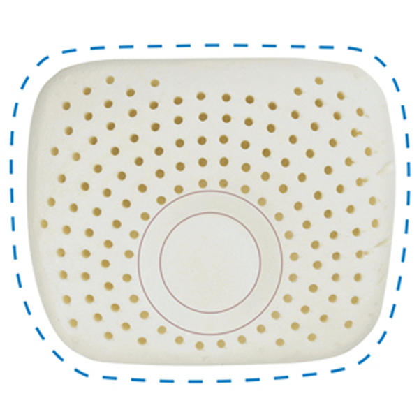 �ʼ�֮�� ��Ȼ���zyinge������ 29 25 5CM.jpg