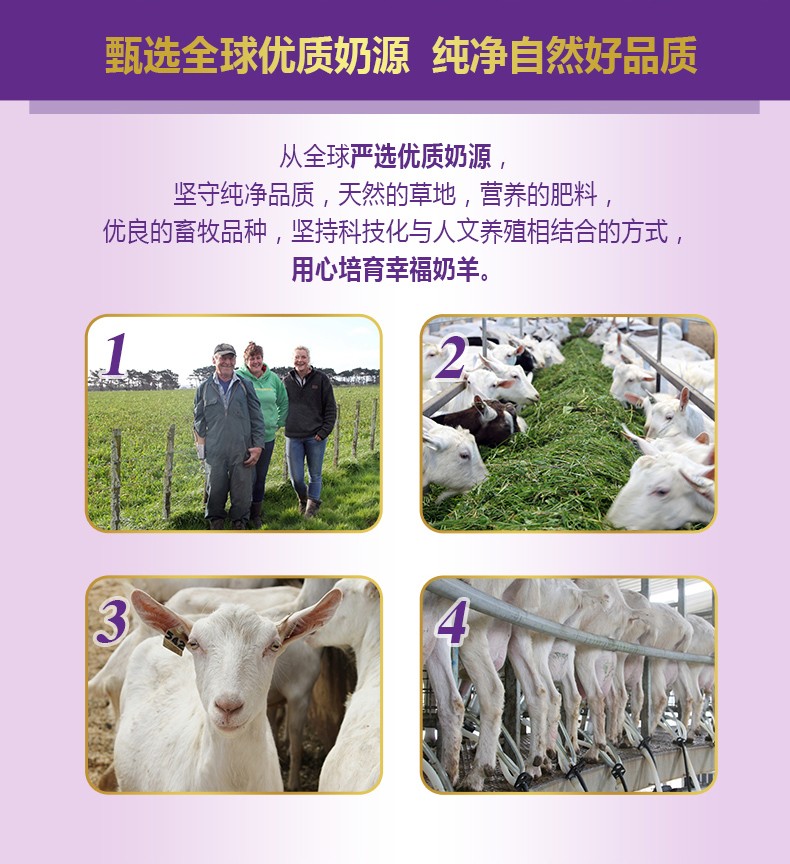  �����׃��䷽���̷ۣ�12-36���g��3�Σ�_03