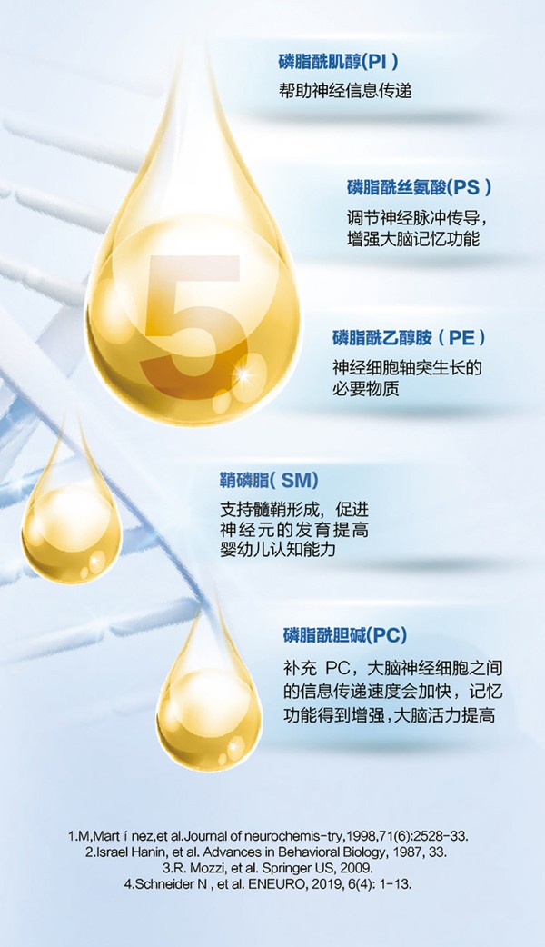   ؐ������Խ�׃��䷽�̷�(12-36���g��3��)4