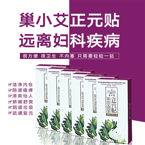 巢小艾雪蓮正元貼 24貼裝 (2).jpg