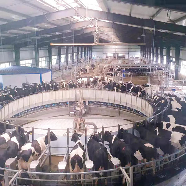 探訪每嘉工廠之旅 見(jiàn)證高品質(zhì)奶粉的誕生5.jpg