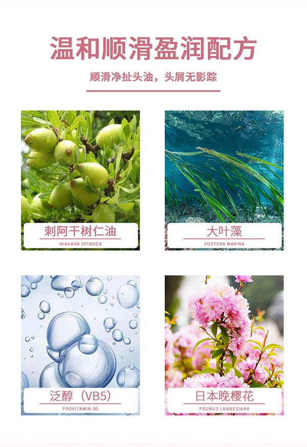 哆唻咪發(fā)氨基酸順滑洗發(fā)露詳情頁(yè)_04.jpg