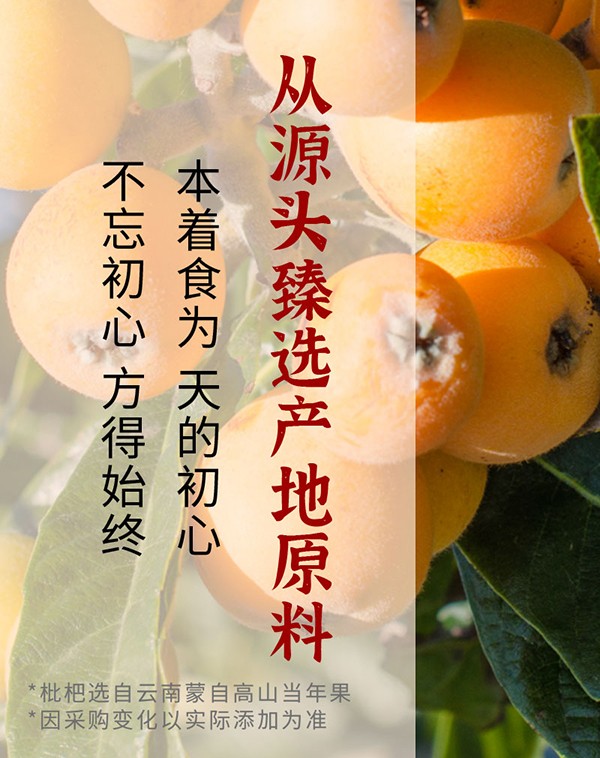成長(zhǎng)123-29味枇杷雪梨膏詳情圖_05.jpg