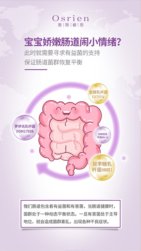 奧斯睿恩復合型益生菌滴劑小紫瓶詳情_06.jpg