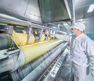  ��������S29