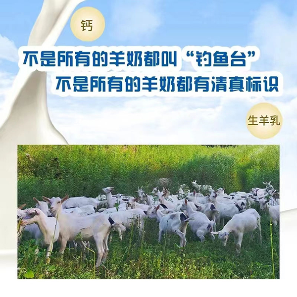 陜西省乳品工業(yè)協(xié)會(huì)副秘書(shū)長(zhǎng)張琦為釣魚(yú)臺(tái)羊奶點(diǎn)贊4.jpg 陜西省乳品工業(yè)協(xié)會(huì)副秘書(shū)長(zhǎng)張琦為釣魚(yú)臺(tái)羊奶點(diǎn)贊4.jpg