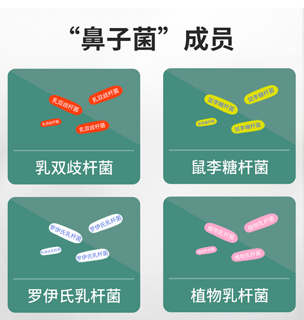 圣諾熊愛(ài)敏康復(fù)合益生菌固體飲料詳情圖5.jpg