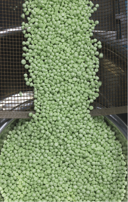 �¸ɠ�ԪʳƷ�ܶ����ӹ����\(ch��ng)��ȫ��(gu��)�^(q��)��������