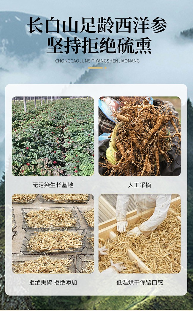 仕強(qiáng)戈樂家老鋪蟲草菌絲體洋參膠囊詳情 (6).jpg