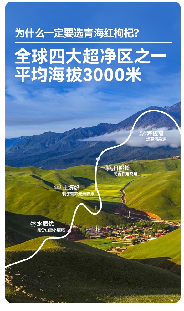 遙遠(yuǎn)地方枸杞原漿詳情 (3).jpg