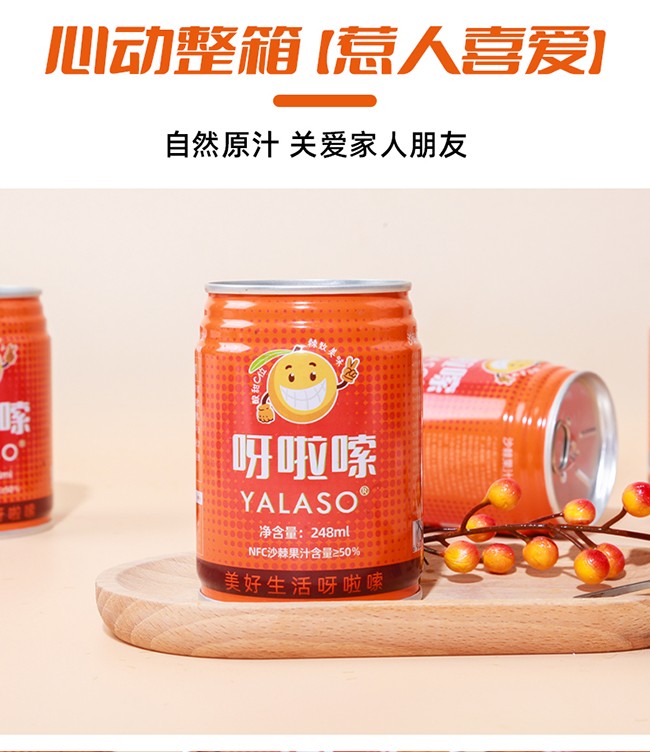 呀啦嗦沙棘果汁飲品248ml詳情 (7).jpg