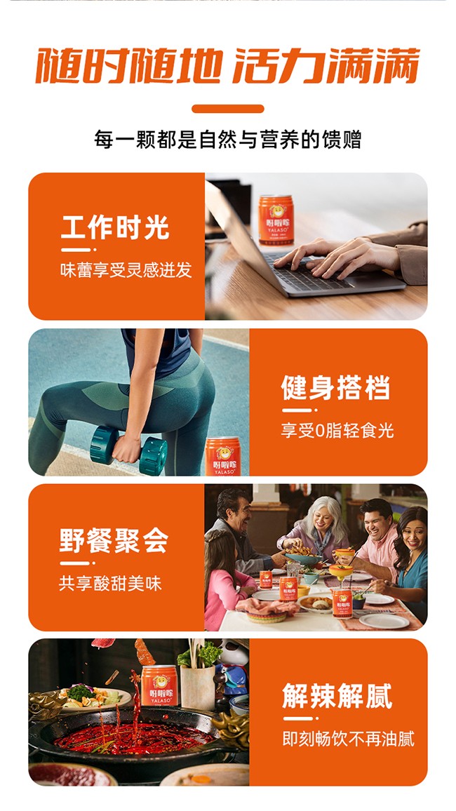 呀啦嗦沙棘果汁飲品248ml詳情 (6).jpg