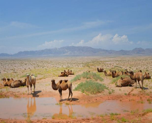 ���ƽz�ĸ�댣�������\�д���������ģʽ���´򷨣����oȫ�ҽ������\�����ļ�����