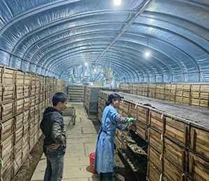  ΢�ňDƬ_20251216165044_368_9