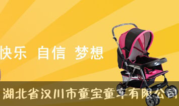 ����ʡ�h����ͯ��ͯ܇���޹�˾