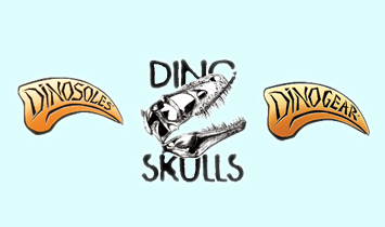 �B�T(m��n)�����M(j��n)�������޹�˾