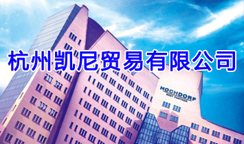 ���݄P���Q(m��o)�����޹�˾