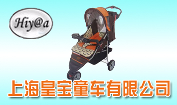 �Ϻ��ʌ�ͯ܇���޹�˾