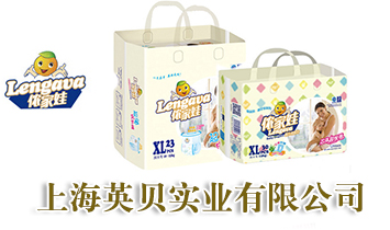 �Ϻ�Ӣؐ��(sh��)�I(y��)���޹�˾