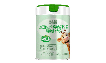 �����������^(q��)�Ȍ����@�̷۵꣨���w���̑���