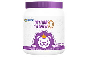 ʩؐ����С�������