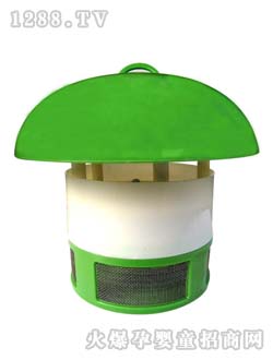 ����СĢ�����ß�