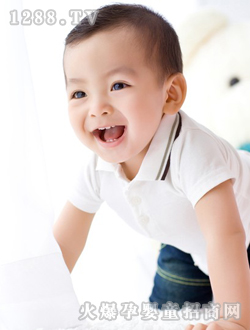 �c���_�Č�����