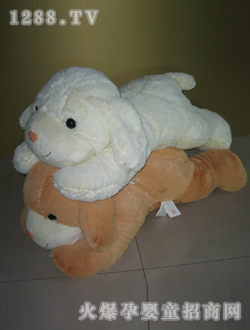 ����ſ�����