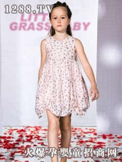 С���޻ҵ껨ȹ��