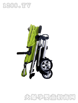 �Aͯ�Gɫ����܇DSC_0014