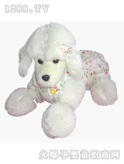 ľ����ë�q�����