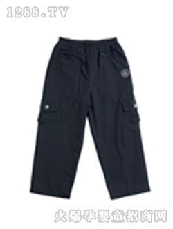 ��܊��ӡ���Lѝ