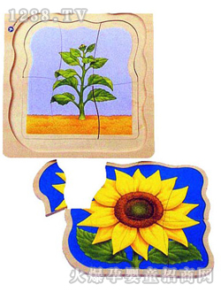 ��ϲ�����տ����L�^��ƴ�D