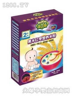 �W�������׼t���׷�2��