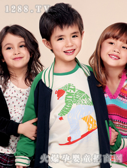 ȸ̫�ɰ�ɫ���b