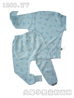 ANSEL�������b