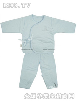 ANSEL�\�{ɫ��ů����